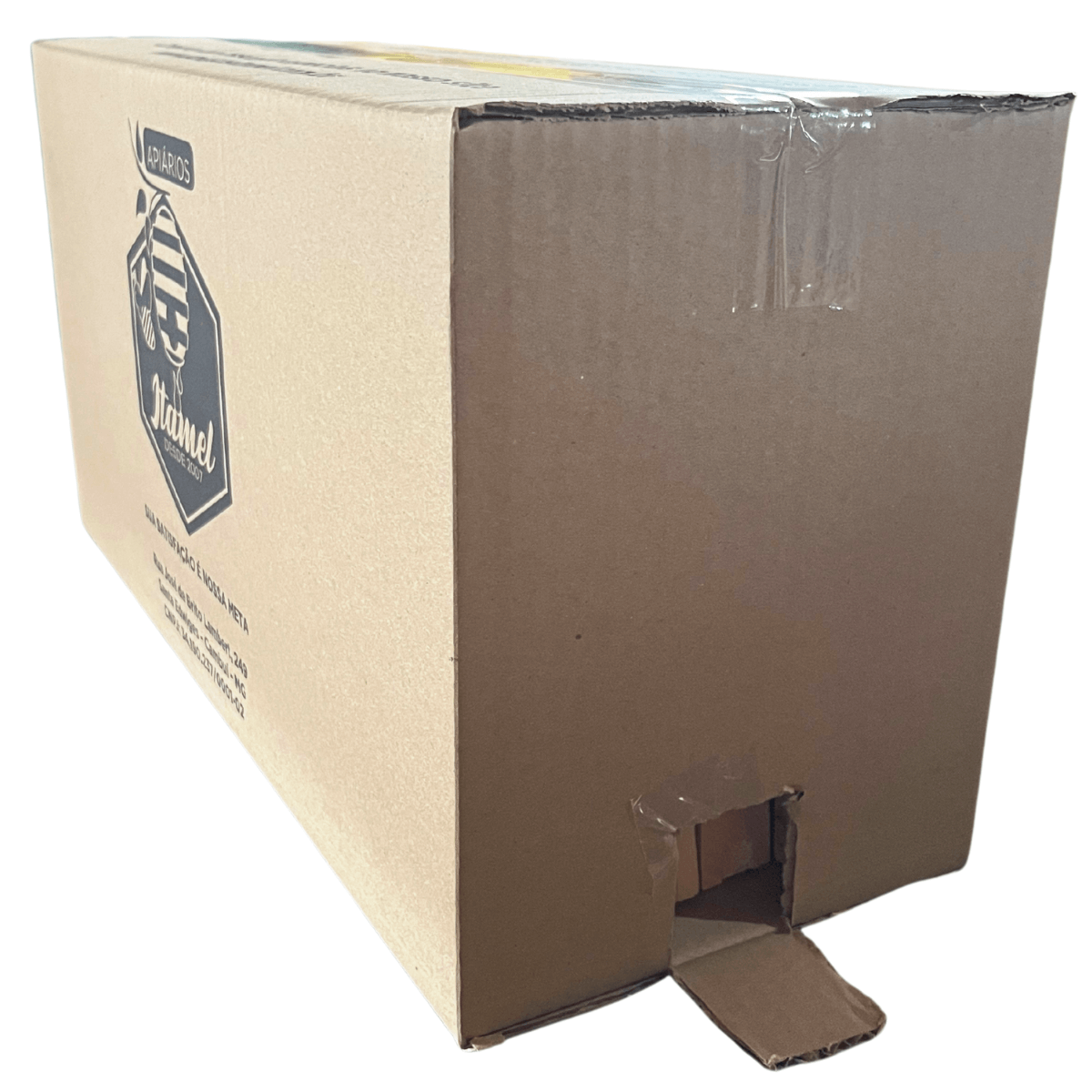 Caixa isca para abelha africanizada padrão Langstrott 10 unidades