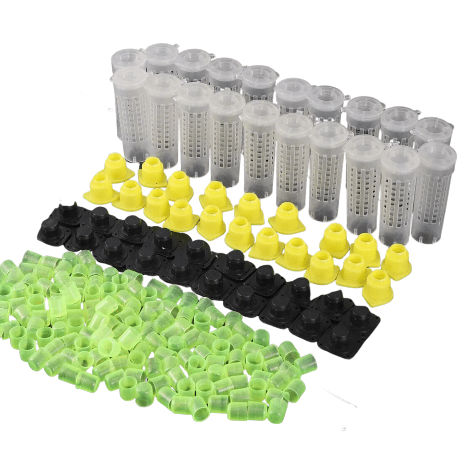 Kit 20 Gaiolas e 120 Cúpulas De Abelha Rainha P/ Enxertia